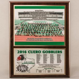 12 x 15 Classic Team Photo Plaque for Football Champions