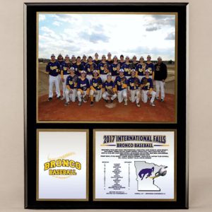 12 x 15 Classic Team Photo Plaque for Baseball Champions