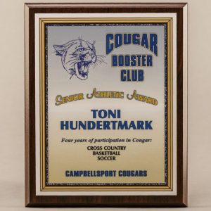 8 x 10 MVP Style Cherry Finish Plaque - Multi-Sport Senior Athletic Award