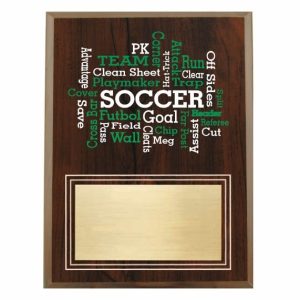 Amazing Competitor series soccer cherry plaque