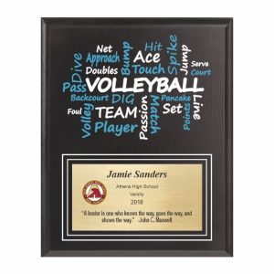 Amazing Competitor Series Volleyball Black Plaque