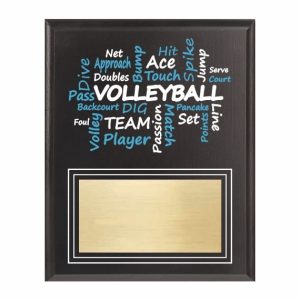 Amazing Competitor Series Volleyball Black Plaque