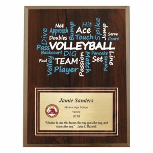 Amazing Competitor Series Volleyball Cherry Plaque