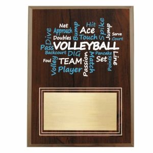 Amazing Competitor Series Volleyball Cherry Plaque